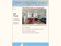 moewennest-hl.de Webseite Vorschau