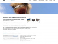 bildmanager.com Webseite Vorschau