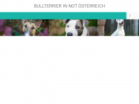 bullterrier-in-not.at Webseite Vorschau