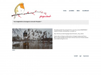 gingersboat.de Webseite Vorschau