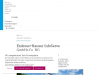infoserve.endress.com Webseite Vorschau