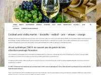 viticulture-oenologie-formation.fr Webseite Vorschau