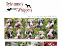 sylviannes-whippets.de Webseite Vorschau