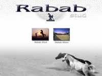 rababstud.com Webseite Vorschau