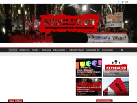 onesolutionrevolution.at Webseite Vorschau
