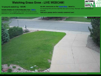 watching-grass-grow.com Webseite Vorschau