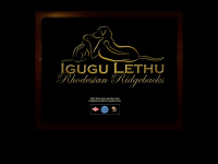 igugu-lethu.com Webseite Vorschau