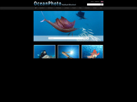 ocean-photo.de Webseite Vorschau