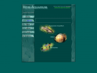 heim-aquarium.de Webseite Vorschau