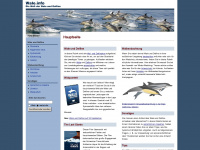 wale.info Webseite Vorschau