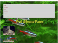 welse.net Webseite Vorschau