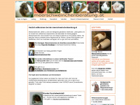 meerschweinchenberatung.at Webseite Vorschau
