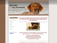 sonnenwald-labradors.de Webseite Vorschau