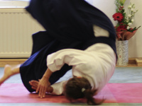 aikido-in-trier.de Webseite Vorschau