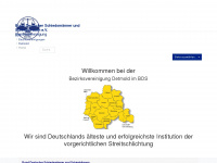 bds-detmold.de Webseite Vorschau