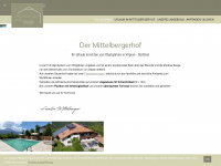 mittelberger.net Webseite Vorschau