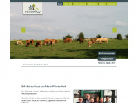 puenderhof.de Webseite Vorschau