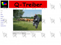q-treiber.info Webseite Vorschau