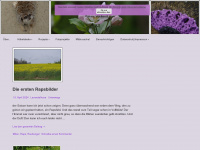 lavendelhexe.net Webseite Vorschau