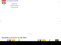 brunn-wild.gv.at Webseite Vorschau
