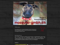 mosquito-gmbh.ch Webseite Vorschau