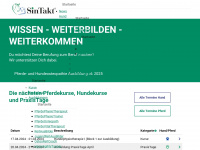 sintakt.ch Webseite Vorschau