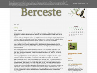 berceste.blogspot.com Webseite Vorschau