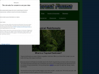 rainforestfauna.com Webseite Vorschau