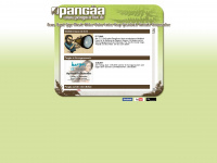 pangaea-live.de Webseite Vorschau