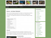gecko-haltung.de Webseite Vorschau