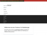 fe.ethz.ch Webseite Vorschau