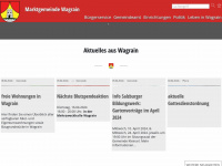 wagrain.salzburg.at Webseite Vorschau