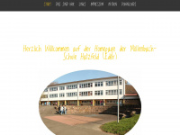 moellenbach-schule.de Webseite Vorschau
