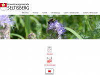 seltisberg.ch Webseite Vorschau