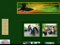 riesenschnauzer-vom-glonntal.de Webseite Vorschau