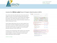 avalanchesearch.com