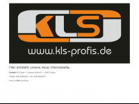 kls-profis.de Webseite Vorschau