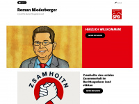 roman-niederberger.de Thumbnail