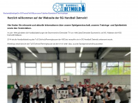 handball-detmold.de Webseite Vorschau
