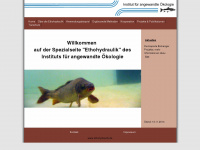 ethohydraulik.de Webseite Vorschau