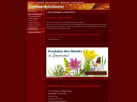 lombardykollectiv.de Webseite Vorschau