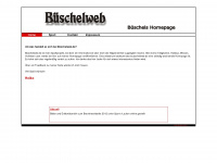 bueschelweb.de Webseite Vorschau