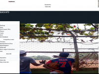 baseballamerica.com Webseite Vorschau