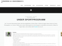 tv-waschenbach.de Webseite Vorschau