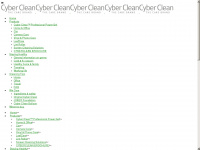 cyberclean.ch Webseite Vorschau