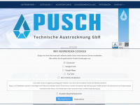 wasserschaden-pusch.de Webseite Vorschau