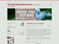 meanderingmatriarch.com Webseite Vorschau