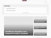pzts.pl Webseite Vorschau