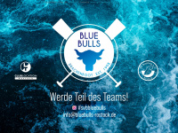bluebulls-rostock.de Webseite Vorschau