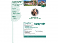 pflegezentrum-am-walde.de Webseite Vorschau